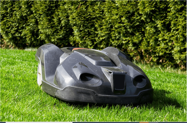 a robot mower on the lawn